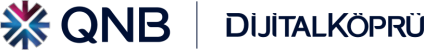 dijital-kopru